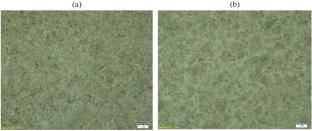 Microstructural Studies of the Material of Rings of Foreign Bearings
