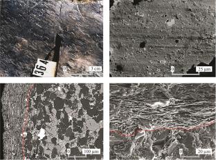 Tectonic Slickensides and Fault Gouge as Markers of Mechanical Instability in Fault Zones of Different Depth Levels