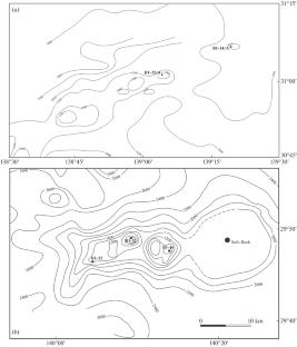 New Mineralogical and Geochemical Features of Ferromanganese Ore Deposits in the Izu-Bonin and Mariana Island Arcs