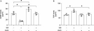 Signaling Mechanisms Underlying the Glioprotective Effects of Guanosine Against Glucose Deprivation-Induced Glial Dysfunction