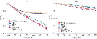 Structuring Tight Heterojunction between PCN-224 and g-C3N4 for Enhanced Photocatalytic Water Purification