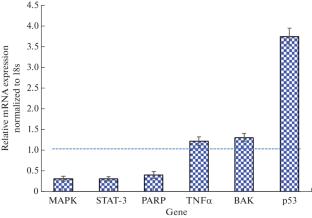 Geodorum densiflorum Rhizome Lectin Induces Apoptosis in Human Lung Cancer Cells and Inhibits the Growth of Ehrlich Ascites Carcinoma Cells In Vivo in Mice