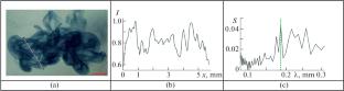 Fine Structure Evolution of the Merging Pattern of a Compound Droplet in the Impact Mode