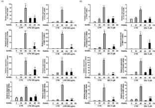 Inhibitory effects of Lycii fructus water extracts and its active ingredient, zeaxanthin, on receptor activator of nuclear factor κB ligand-induced osteoclast differentiation