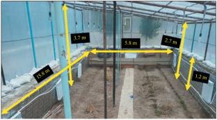 Multi-Criteria Optimization of Technical and Economic Indicators of a Trench-Type Solar-Fuel Greenhouse