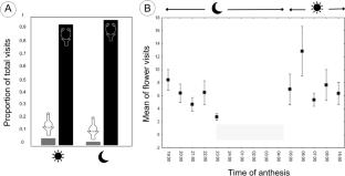 The effective hawkmoth pollination of Lagenaria siceraria (Cucurbitaceae) beyond Africa