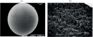 Hemosorbents: Materials, Structure, and Physical and Chemical Properties. Review