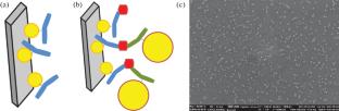 Study of Single Antigen–Antibody Interactions on a Silicon Surface in Biosensors Based on Field-Effect Transistors with a Nanowire Channel