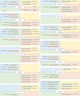 Potential Influence of Tryptophan Metabolites on Translocation of Bacterial DNA into the Blood in Normal Conditions and in Various Obesity Phenotypes