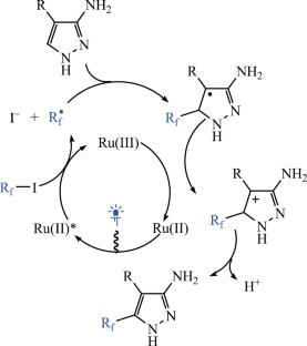 Photocatalytic Fluoroalkylation of Derivatives of 3-Aminopyrazole