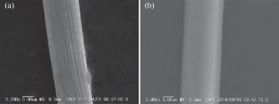 Fully Vaporization of the Electrically Exploding Platinum Wires in Vacuum