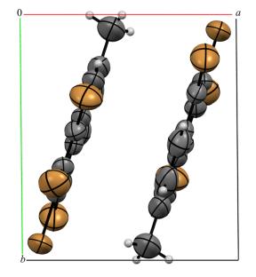 Interaction of 3,6-Bis(2-pyridyl)-1,2,4,5-tetrazine and 3,4,5,6-Tetrabromo-1,2-dehydrobenzene