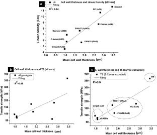 Packing arrangements of cellulose I allomorphs and cell wall thickness: key factors influencing the tensile strength of banana fibres