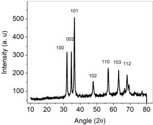 Carica papaya-mediated green synthesis of ZnO nanoparticles: biological potentials and in silico investigations