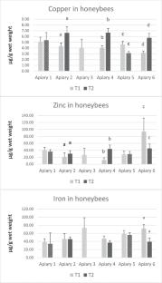 Trace element levels in Italian honeybees and wild plants: which factors matter?