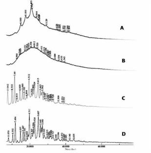 Fabrication of Sustainable Modified Fenugreek Gum Block Copolymer in Oral Controlled Drug Delivery System: Synthesis, Toxicity, in Vitro and in Vivo Pharmacokinetics