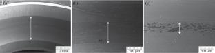 Investigation of the Influence of the Type of Motion Friction on the Behavior of Anti-Wear Additives