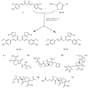Synthesis, Spectral Identification, and Antibacterial Activity of New Schiff Base Curcumin Derivatives