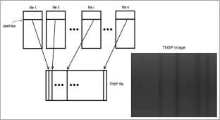 Differentiation of Clay Content in Soil Samples Containing Clay, Silt, and Sand Using the Speckle Methodology