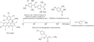Investigation of g-C3N4/Zn-CuO Nanocomposite for the Photocatalytic Efficiency of Rose Bengal and its Antibacterial Properties