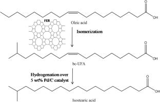 Influence of physicochemical properties of seed on template-free ferrierite synthesis and its application in oleic acid isomerization