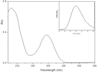 The effect of n-type and p-type semiconductors on the photoconversion of colchicine. Experimental and computational study