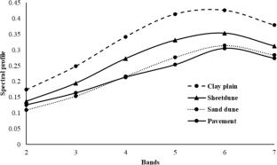 Application of machine learning approach in zoning of desert geomorphological facies