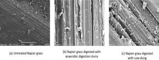 Combination of flow cytometry and metagenomics to monitor the effect of raw vs digested manure on microbial diversity in anaerobic digestion of Napier grass