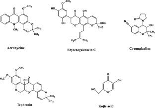 Synthesis of chromene analogues via oxidative cleavage of 1,2-diols