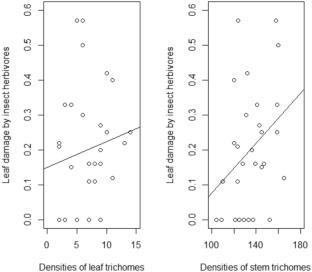 Influence of agricultural practices on the defense mechanisms of tomato plants against insect herbivores via trichomes and secondary metabolites