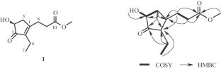 A New Cyclopentenone Derivative from an Endophytic Fungus Aspergillus sp.