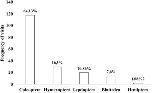 Do floral traits influence the natural patterns and rates of florivory in Senna aversiflora (Herb.) H.S. Irwin & Barneby (Fabaceae)?
