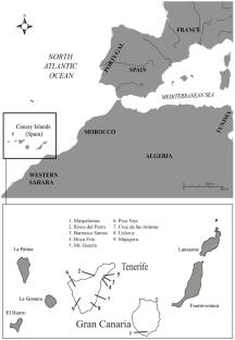Investigating paleomobility from archaeological populations of the Canary Islands: Insights from 87Sr/86Sr and δ18O ratios