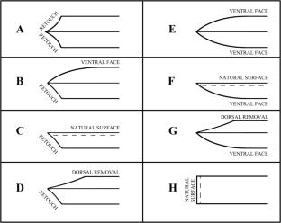 Large cutting tools from SHK (Bed II, Olduvai Gorge, Tanzania): a techno-functional approach