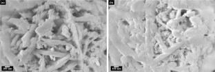Complex Waste Stream Utilization for Hydrogen Evolution: Ammonia Borane Hydrolysis Over Red Mud Catalyst Under Mild Conditions
