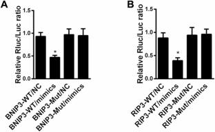 miRNA-105 Attenuates Hypoxic-Ischemic Brain Damage in Neonatal Rats by Inhibiting Apoptosis and Necroptosis