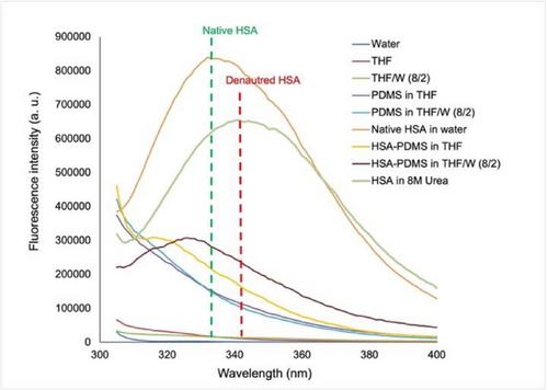 Advancing Biocatalysis: Using Siloxanes to Solubilize and Stabilize Enzymes in Organic Solvents