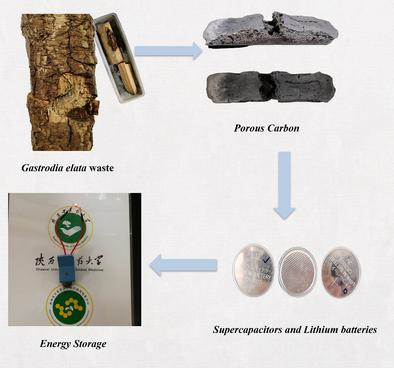 Sustainable Porous Carbon from Waste Fungal Substrates of Gastrodia Elata: A Dual-Function Material for High-Performance Supercapacitors and Lithium Batteries