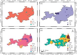 Assessment of Groundwater Suitability for Drinking and Irrigation Purposes Using Water Quality Index, Seawater Mixing Index, Human Health Risk Assessment, and Irrigation Suitability Indices