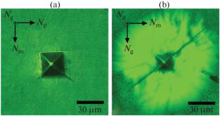 Investigation of ZnWO4 Crystals Doped with Tm3+ and Li+ Ions at Different Concentrations