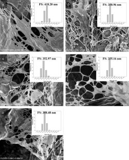 Sequential cocultivation strategy for producing nisin-enriched foaming bacterial cellulose with enhanced antibacterial and functional properties