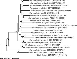 Flavobacterium aestuarii sp. nov., a novel species isolated from the Pearl River Estuary