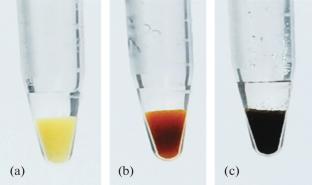 On the Application of Polymer Microspheres to Identify Positively and Negatively Charged Extracellular Traps of Blood Cells