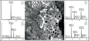 Titanation of С/SiC Composite Fiber in KCl–LiCl–K2TiF6 Salt Melts and the Production of Ceramics
