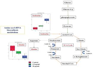Gas Chromatography-Mass Spectrometry-Based Metabolomics to Understand Metabolic Perturbations in Drosophila Due to Lead Acetate Exposure