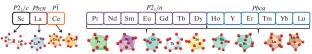 Coordination Compounds of Rare-Earth Nitrates with N,N-Dimethylacetamide