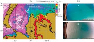 Phytoplankton Concentration Distribution in the Kara Sea According to Aircraft Laser Sounding Data