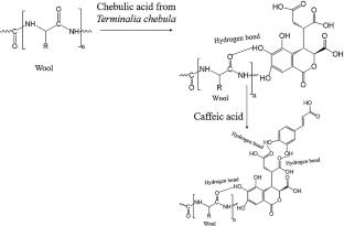 Valorization of Mustard Seed Waste in Dyeing-cum-functionalization of Wool