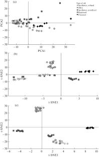 Direct Analysis of Vegetable Oils by Atmospheric Pressure Laser Plasma Ionization Combined with Machine Learning Methods