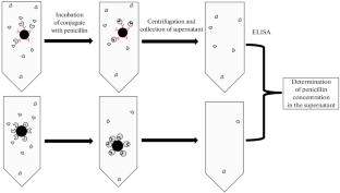 Increasing the Sensitivity of Immunochromatographic Assay for the Determination of Penicillin in Milk by Oriented Immobilization of Penicillin-Binding Protein on the Colloidal Gold Surface
